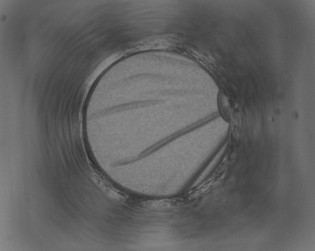 X0000072940100200608181351