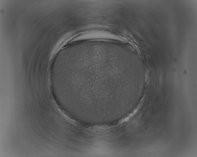 X0000072940101200608181351