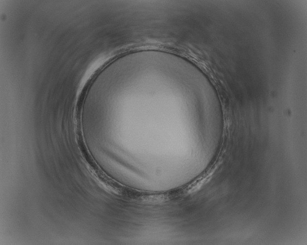 X0000072940102200608181351