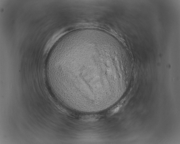 X0000072940103200608181351