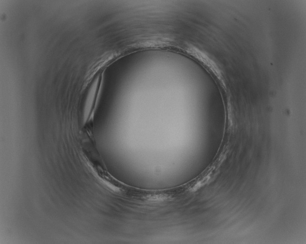 X0000072940105200608181351