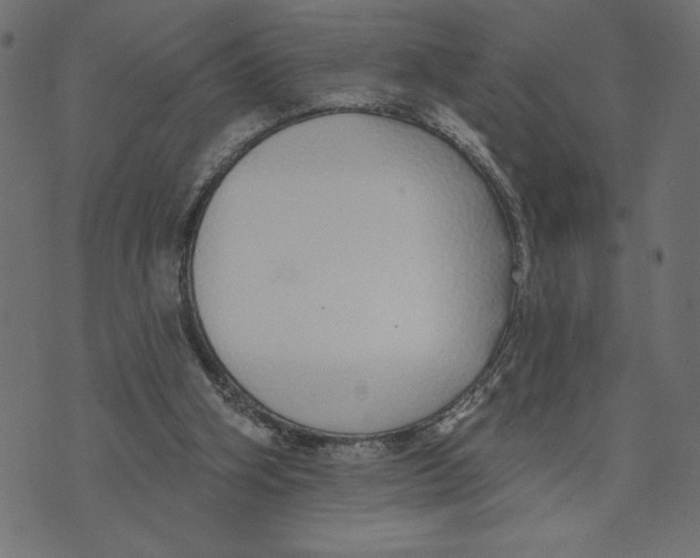 X0000072940106200608181351