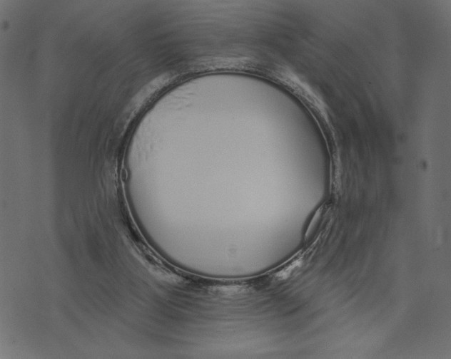 X0000072940107200608181351