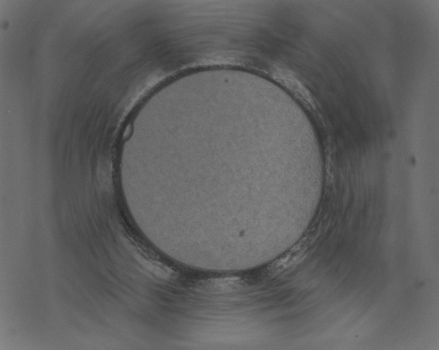 X0000072940108200608181351