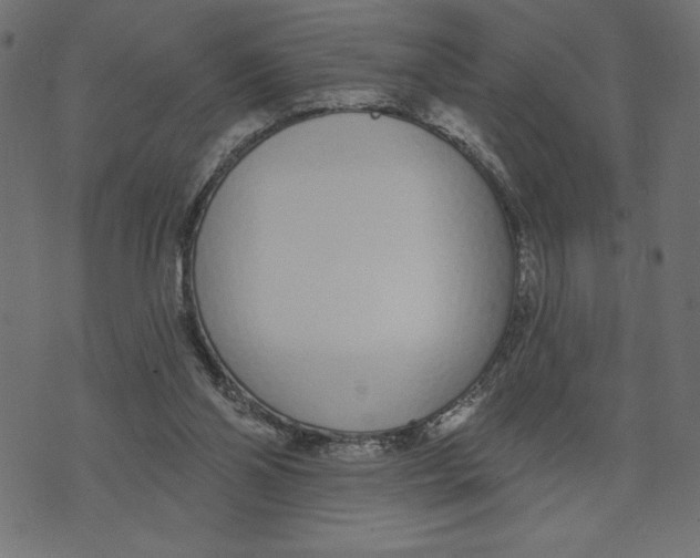 X0000072940110200608181351