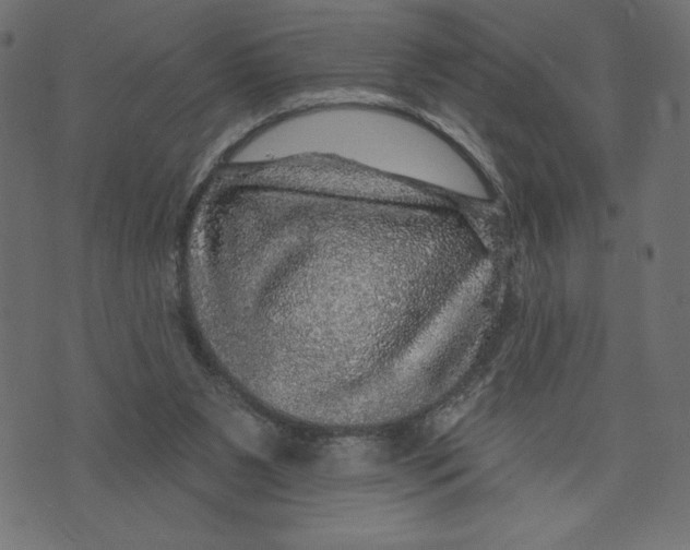 X0000072940111200608181351