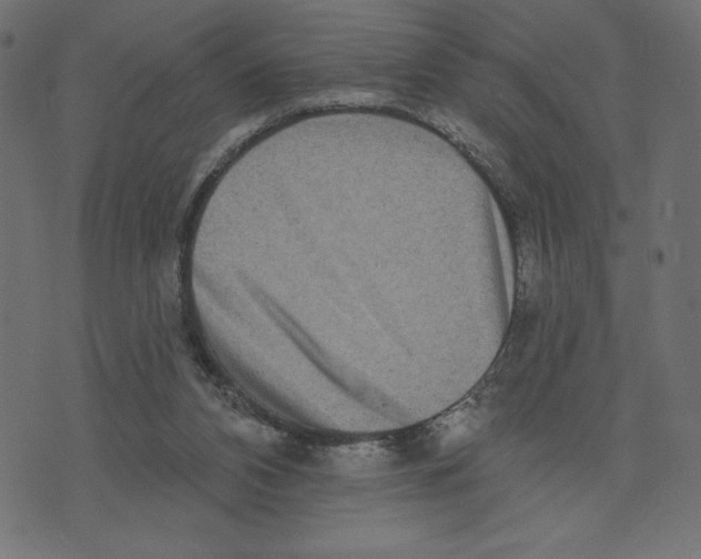 X0000072940112200608181351