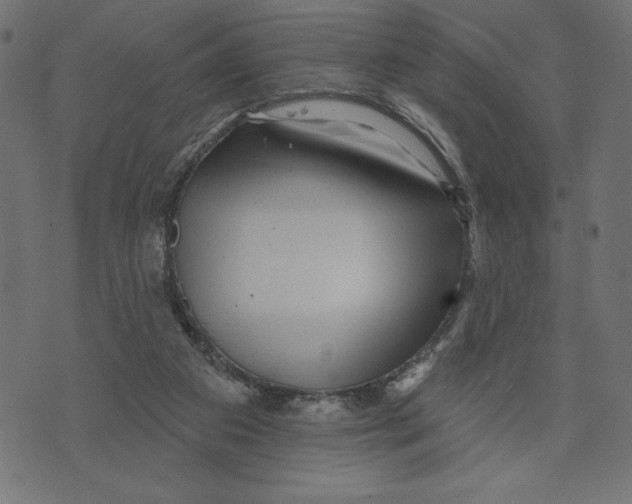 X0000072940113200608181351