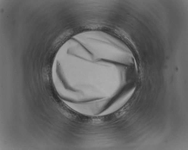 X0000072940114200608181351