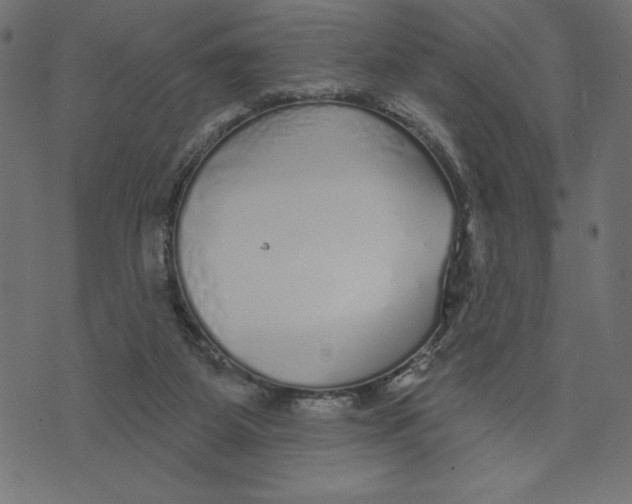 X0000072940115200608181351