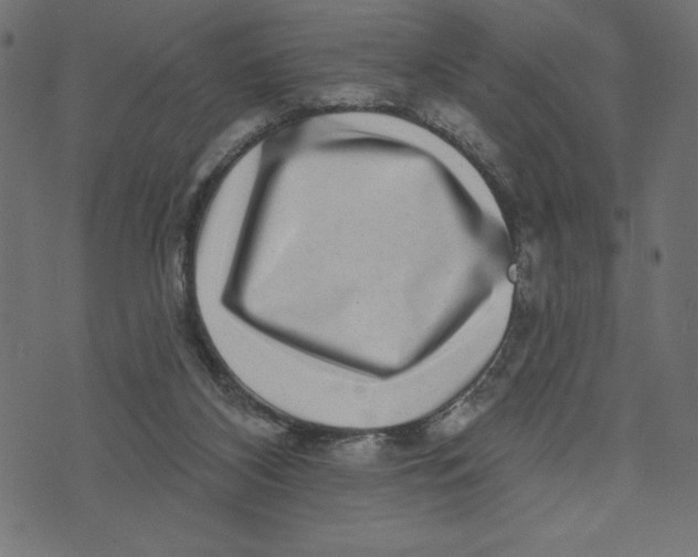 X0000072940116200608181351