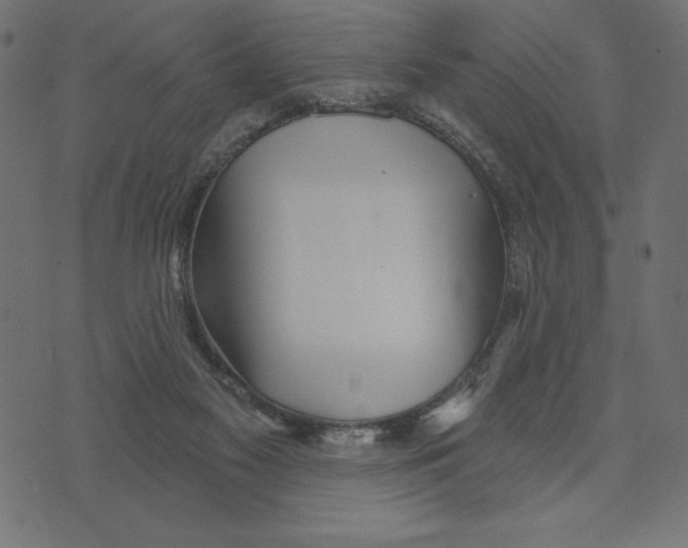 X0000072940117200608181351