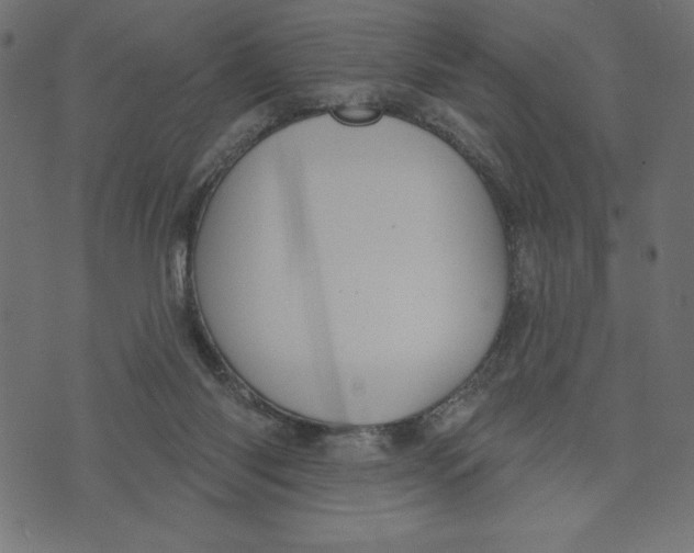 X0000072940118200608181351