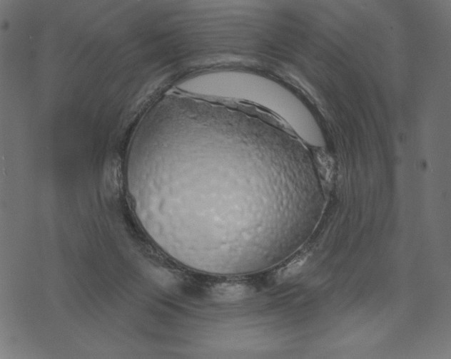 X0000072940119200608181351