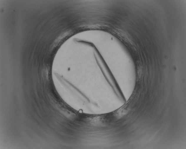 X0000072940120200608181351