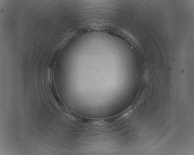 X0000072940121200608181351