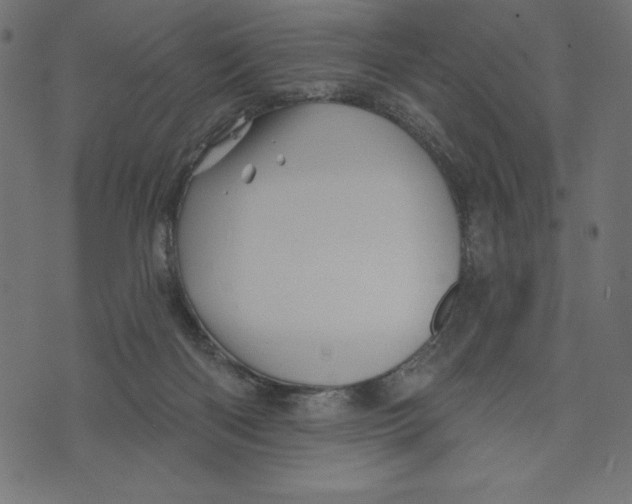 X0000072940122200608181351