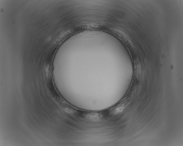 X0000072940123200608181351