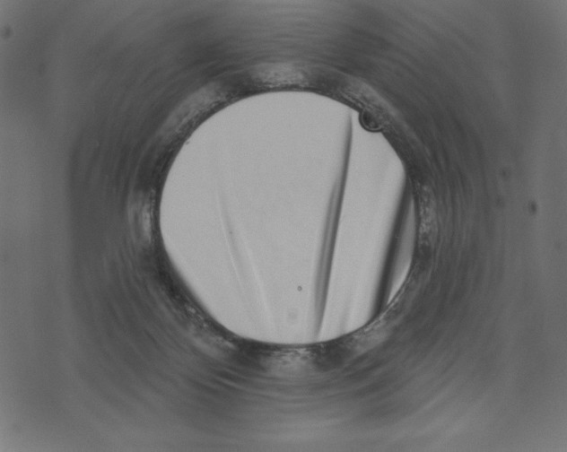 X0000072940124200608181351