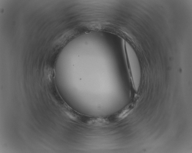 X0000072940125200608181351