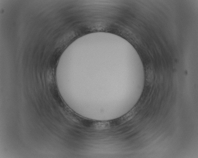 X0000072940126200608181350