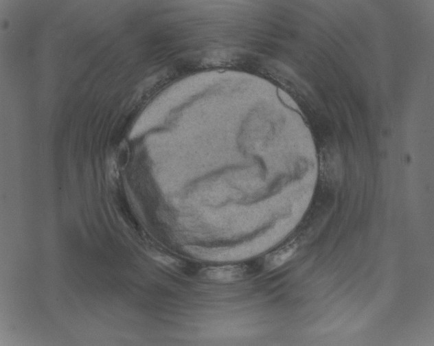 X0000072940127200608181350