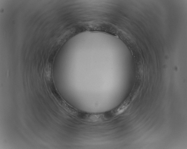 X0000072940129200608181350