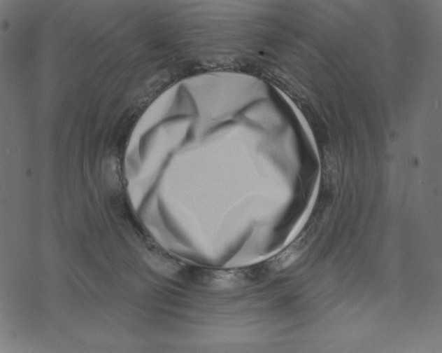 X0000072940130200608181350