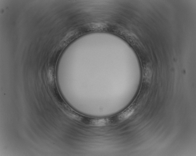 X0000072940131200608181350