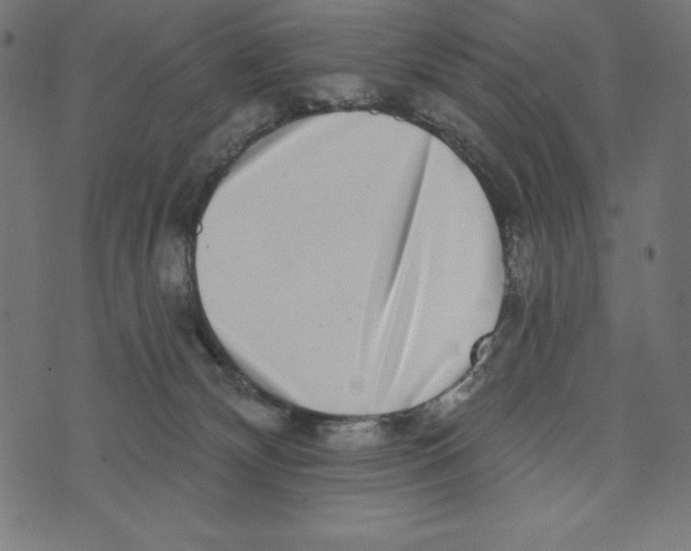 X0000072940132200608181350