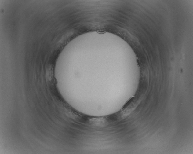 X0000072940133200608181350