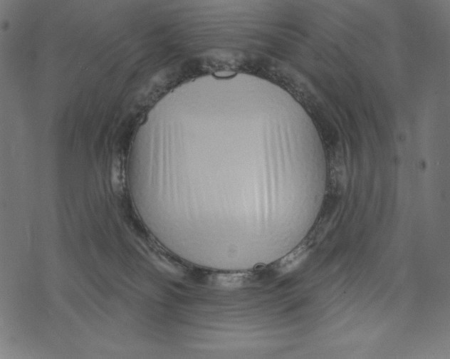 X0000072940134200608181350