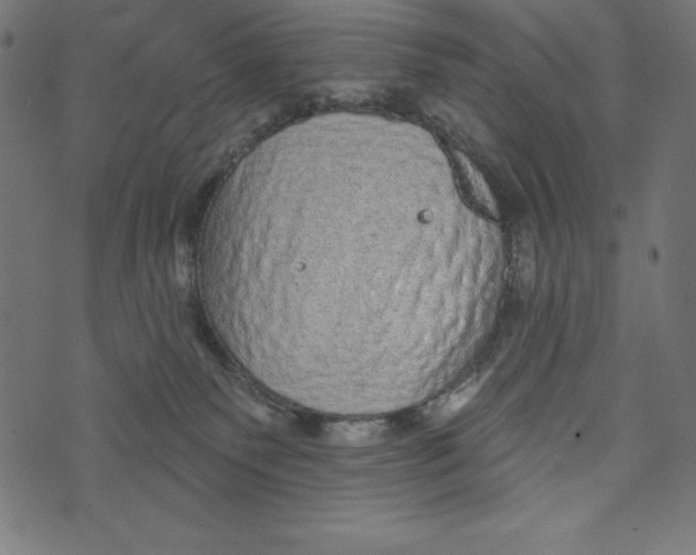 X0000072940135200608181350