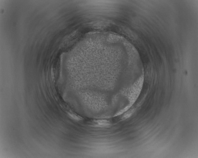 X0000072940137200608181350