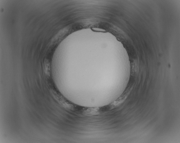 X0000072940138200608181350