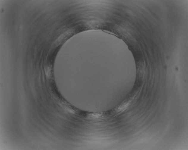 X0000072940139200608181350