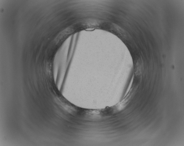 X0000072940140200608181350