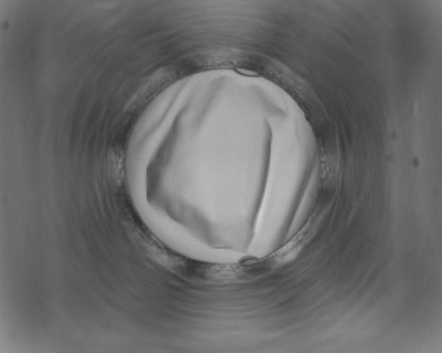 X0000072940142200608181350