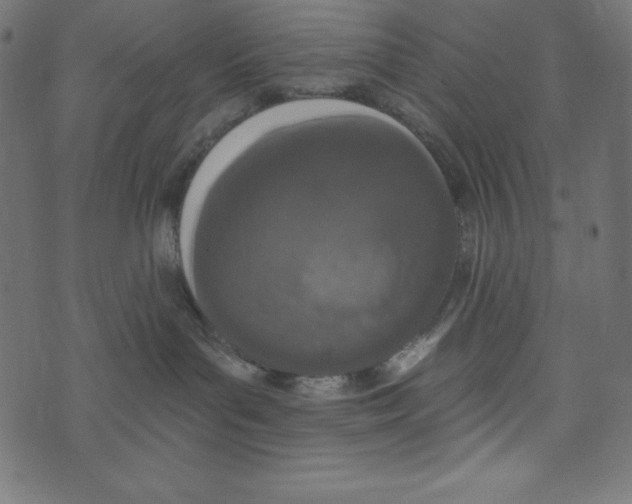 X0000072940143200608181350