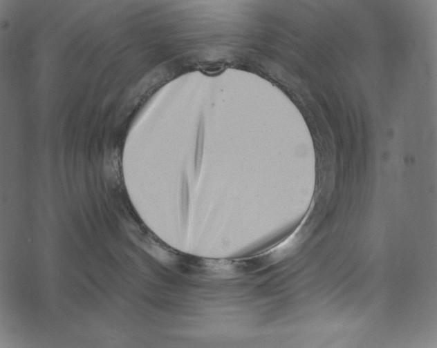 X0000072940144200608181350