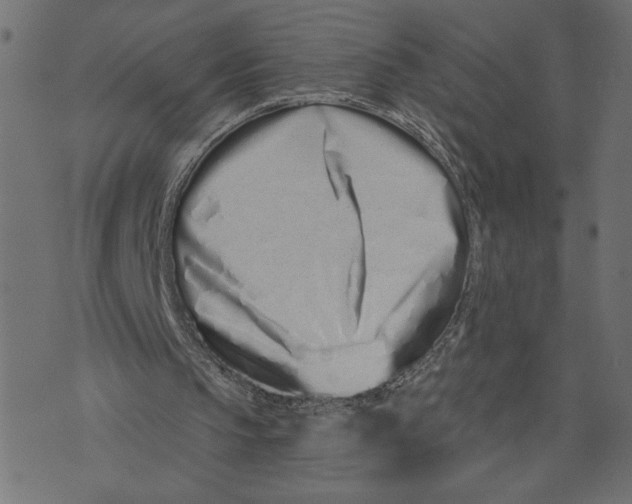 X0000072940145200608181349