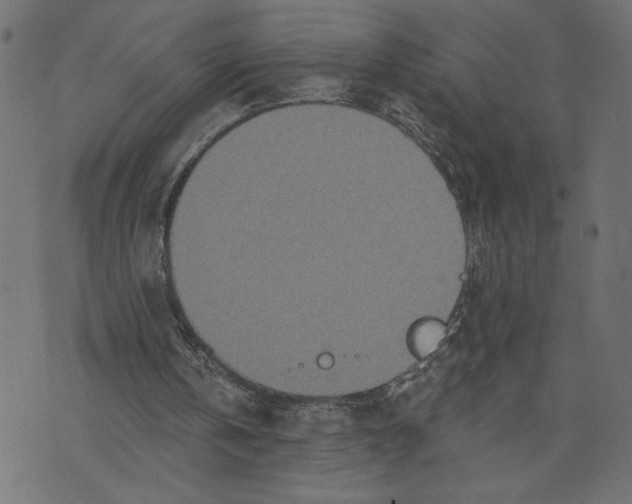 X0000072940146200608181349