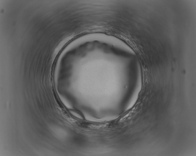 X0000072940147200608181349