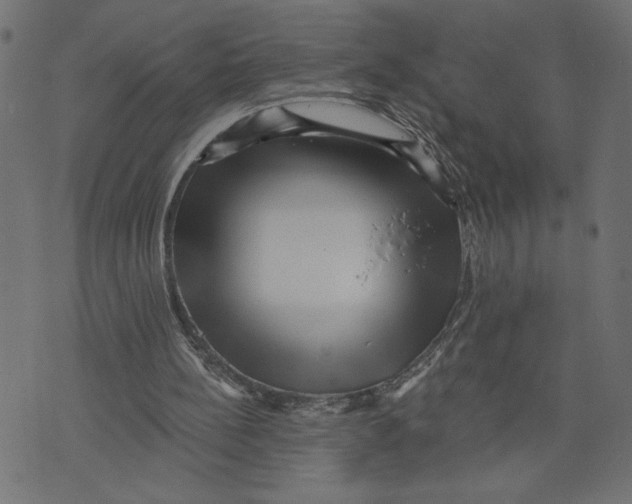 X0000072940148200608181349