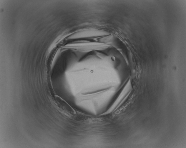 X0000072940150200608181350