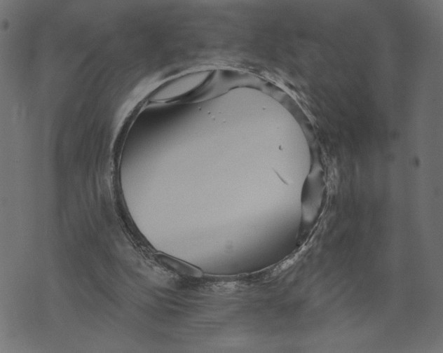 X0000072940152200608181350