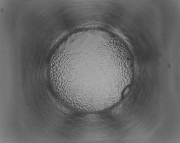 X0000072940153200608181350