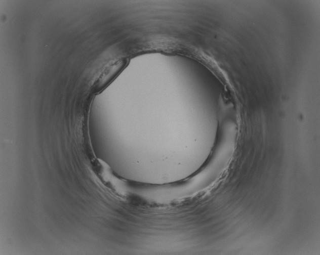 X0000072940154200608181350