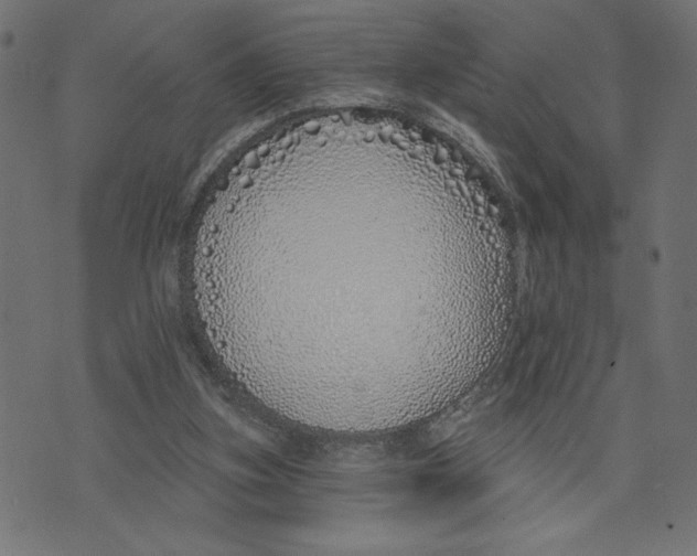 X0000072940155200608181350