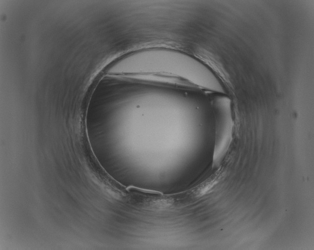 X0000072940156200608181350